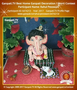 Rahul Pesswani Home Ganpati Picture