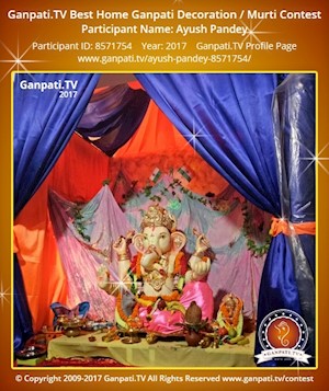 Ayush Pandey Home Ganpati Picture